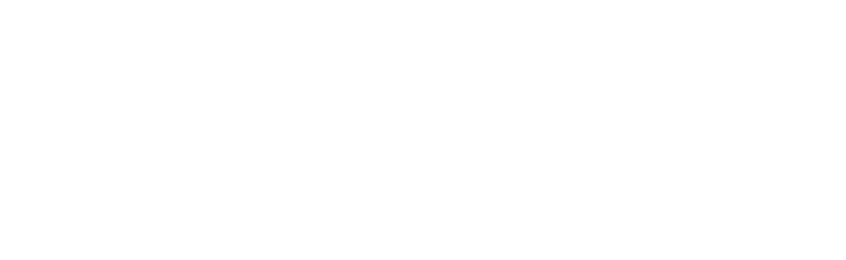 Aras Systems