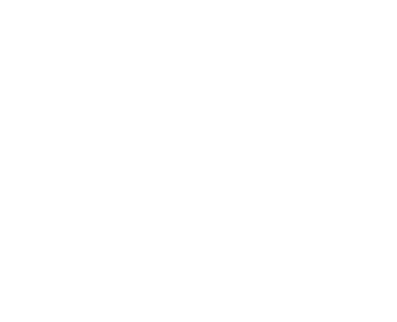 Aras Systems